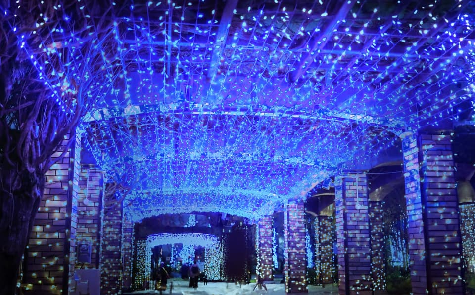 The 21st Kurume Light Festival “Hotomeki Fantasy”