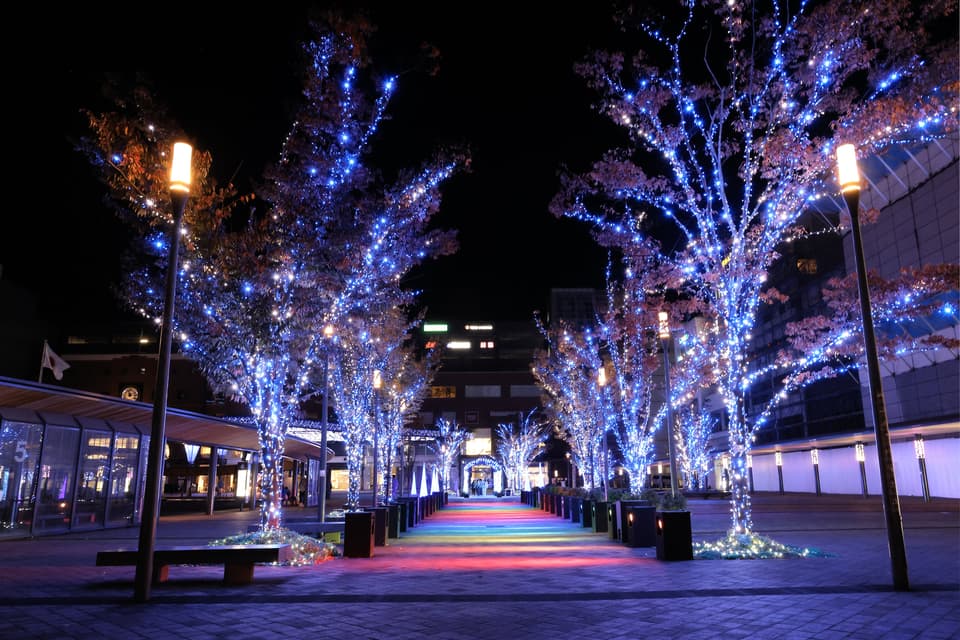 Fantasy of Oita Light 2024 ~ Gift from the Starry Sky ~