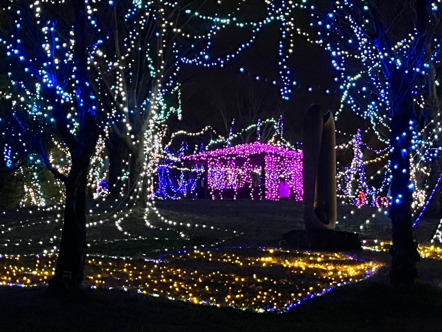 Illumination Festa in Ama 2024