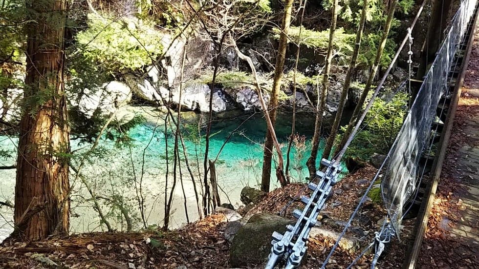 Suspension Bridge and Anji Blue