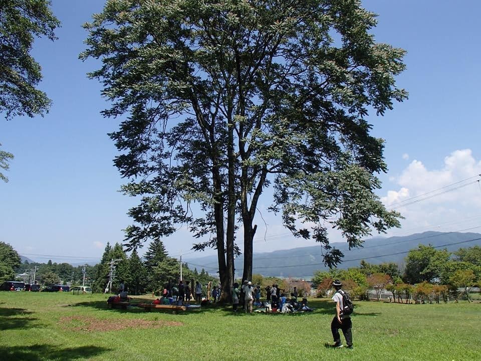 The free site allows you to freely set up a tent on a spacious lawn site.