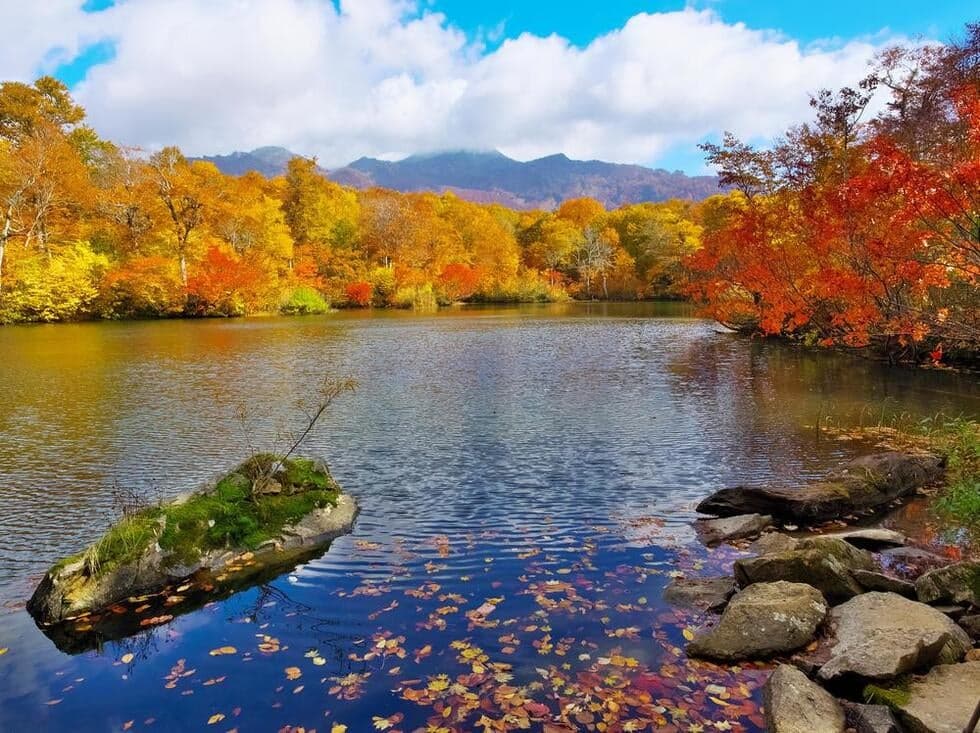 Kamaike is said to have been named because it resembles the shape of a sickle for cutting grass. The Kamaike Beech Path Trekking Course, which runs from around the junction to Mount Amakazari, is eye-catching when the beech is fresh green and when the autumn leaves are colored.