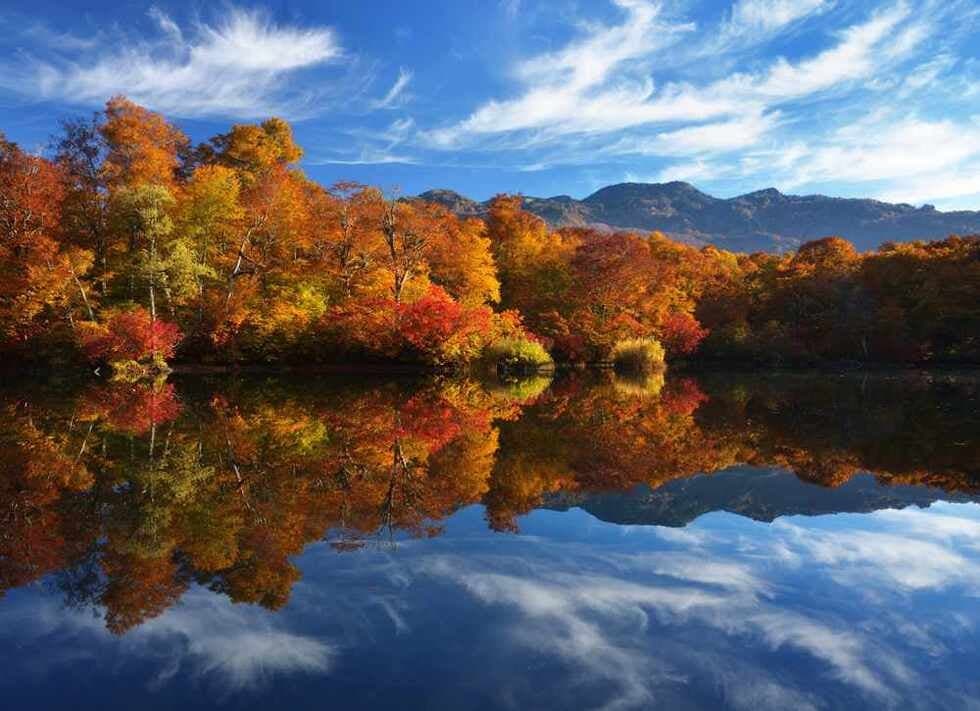 The autumn leaves of Kamaike, which is in full bloom in mid-October.