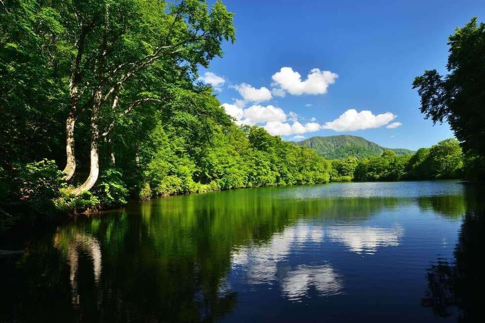 There is a promenade of 2 km around, and you can enjoy a stroll in a quiet atmosphere surrounded by beech trees around. There are crucian carp, trout, etc. in the pond, but is the owner of the pond a large carp?
