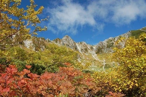 Mt. Hoken and autumn leaves