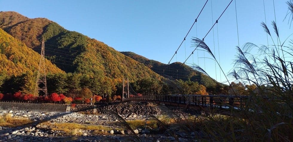 Autumn Otagiri River