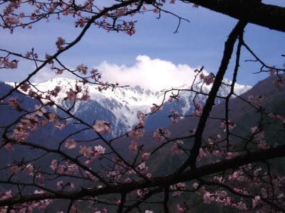 Central Alps from Komagaike