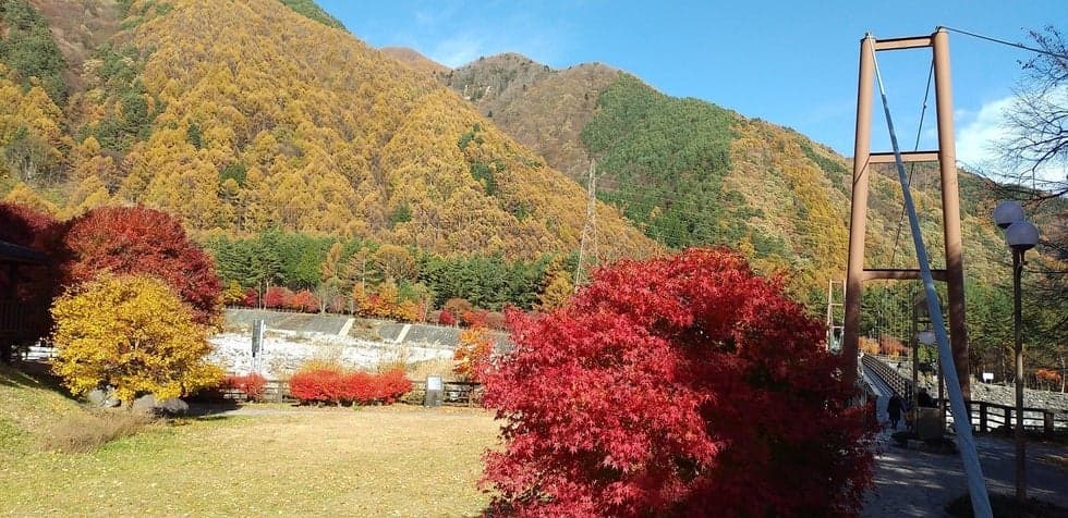 Komakusa Bridge Autumn