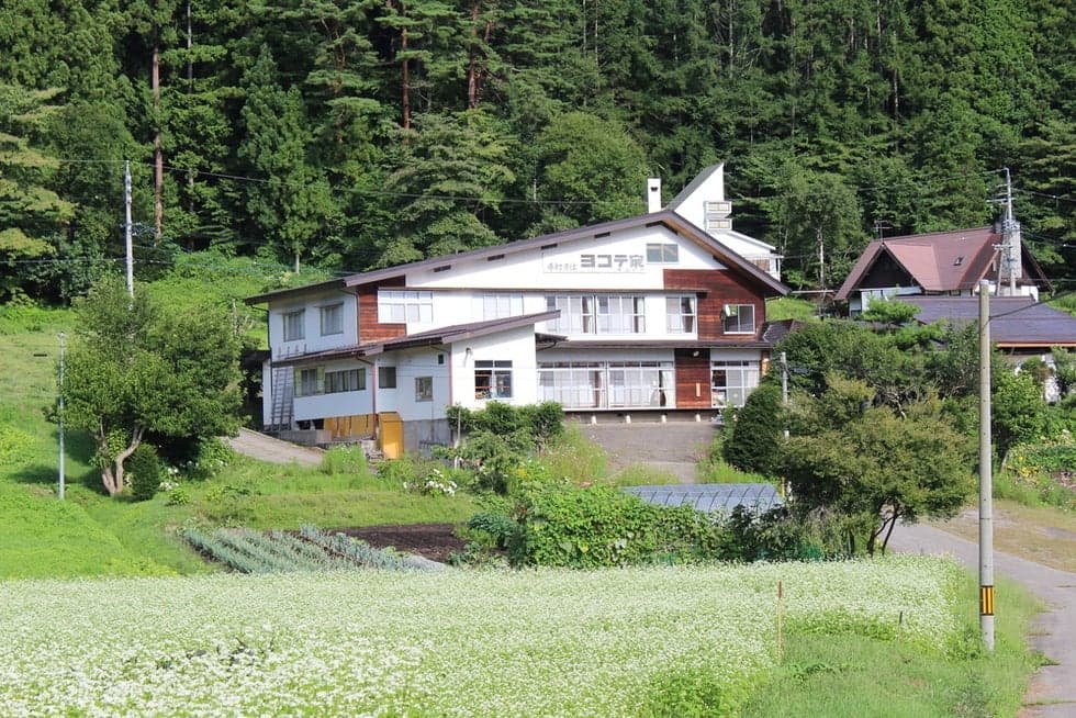 Appearance of Yokoteya