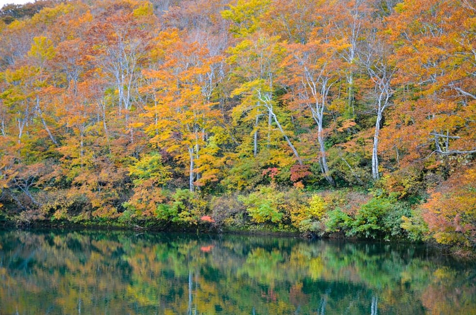 The reflection is also beautiful