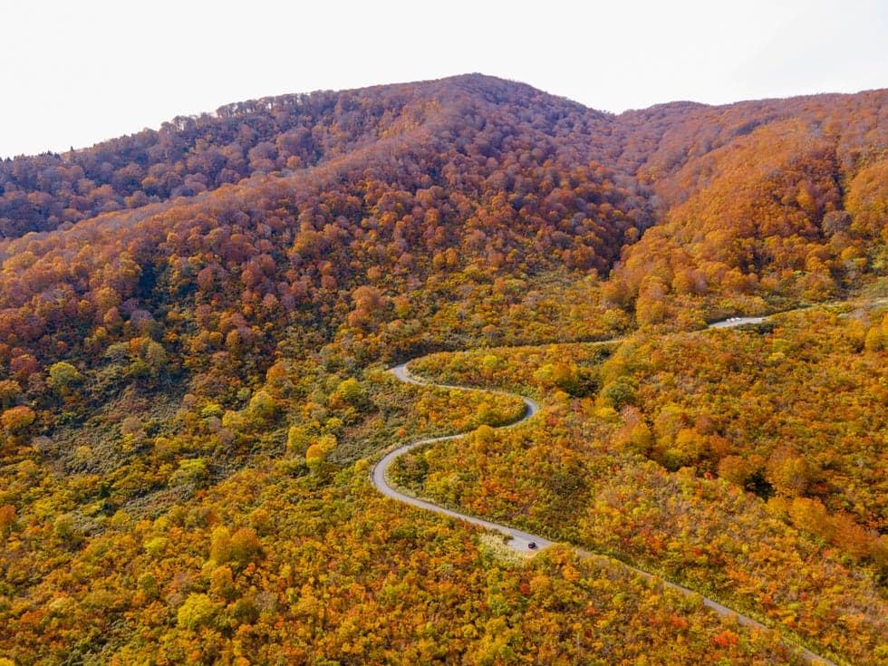 Mt. Nabekura in autumn and Prefectural Road Route 95