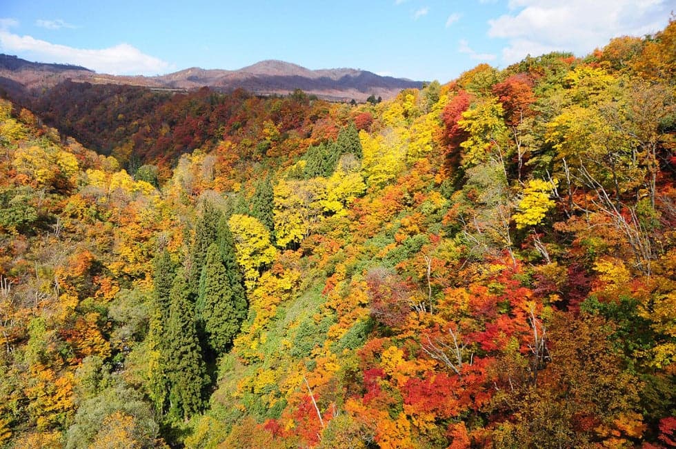 The view from Habiro-ohashi Bridge in Autumn