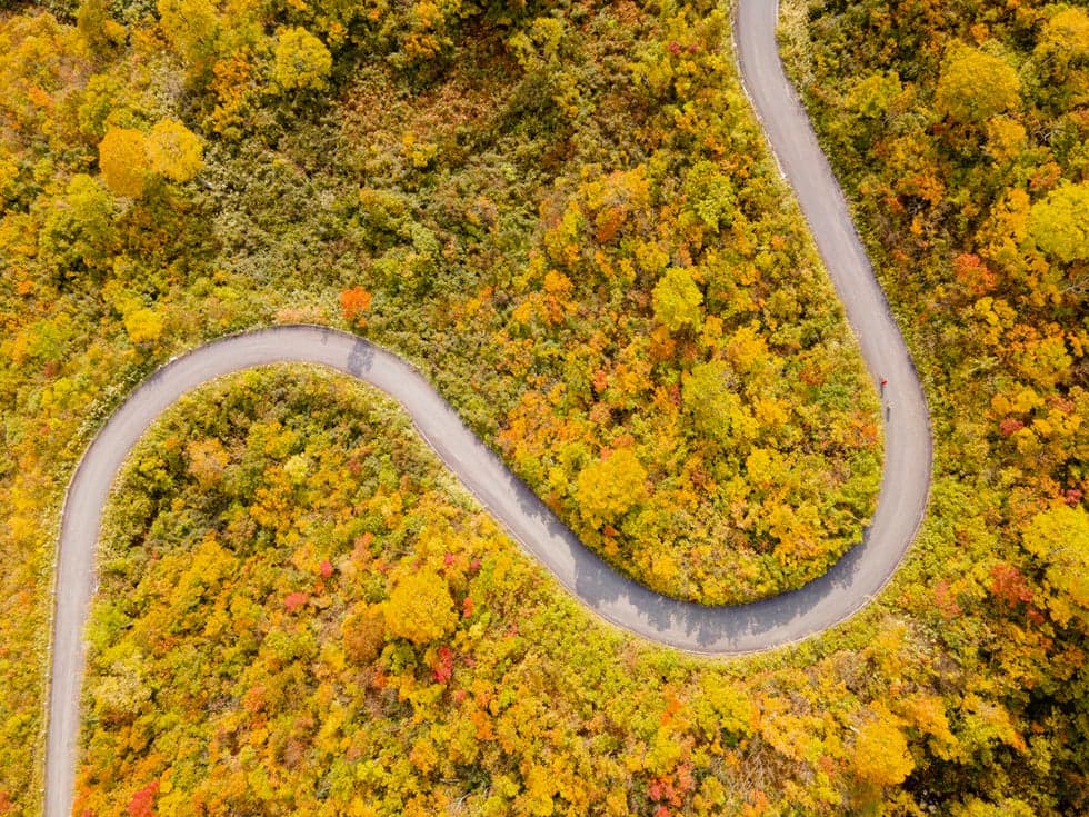 In the autumn of Nabekura. Prefectural Road Route 95