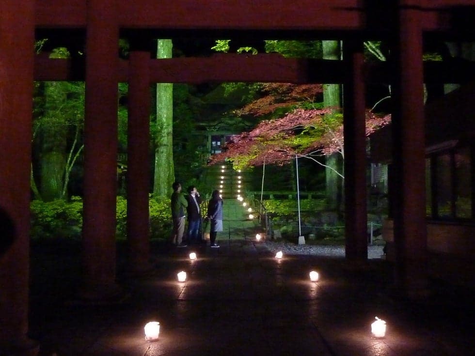 Kozenji Momiji Light Up