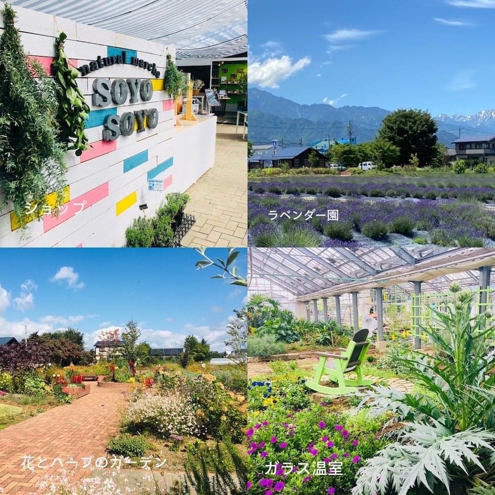 Glass room, shop, lavender garden, flower and herb garden