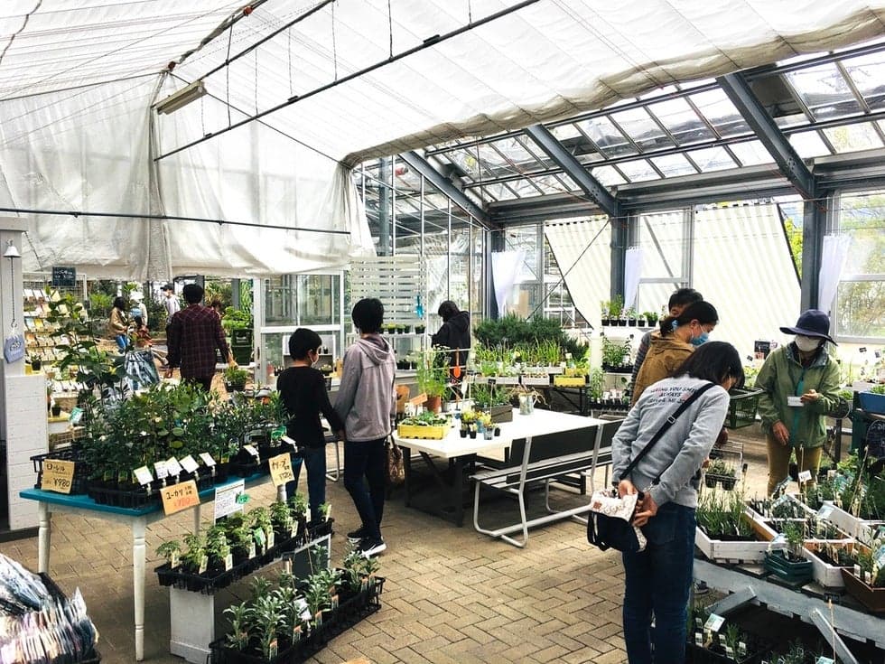 You will surely find your favorite herbal seedlings at the seedling shop!