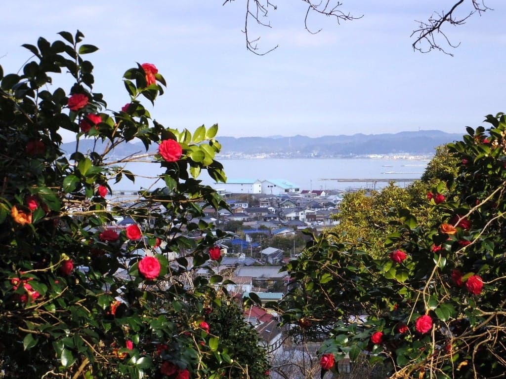 城山公園つばきの径