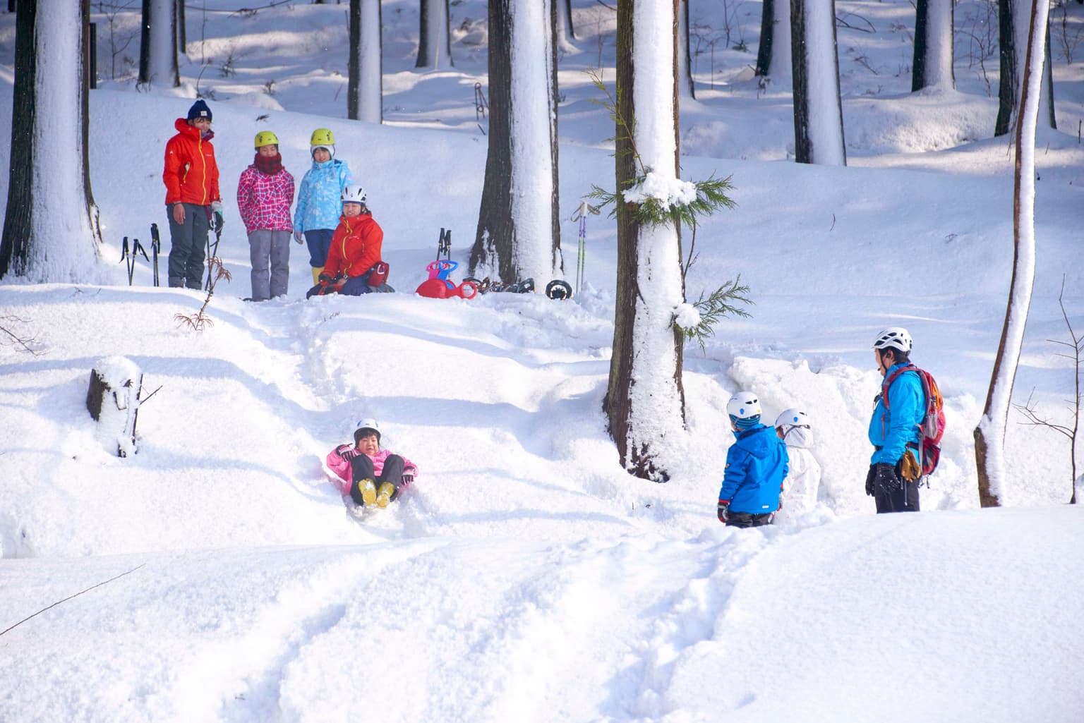 Playing with Snow (Winter)