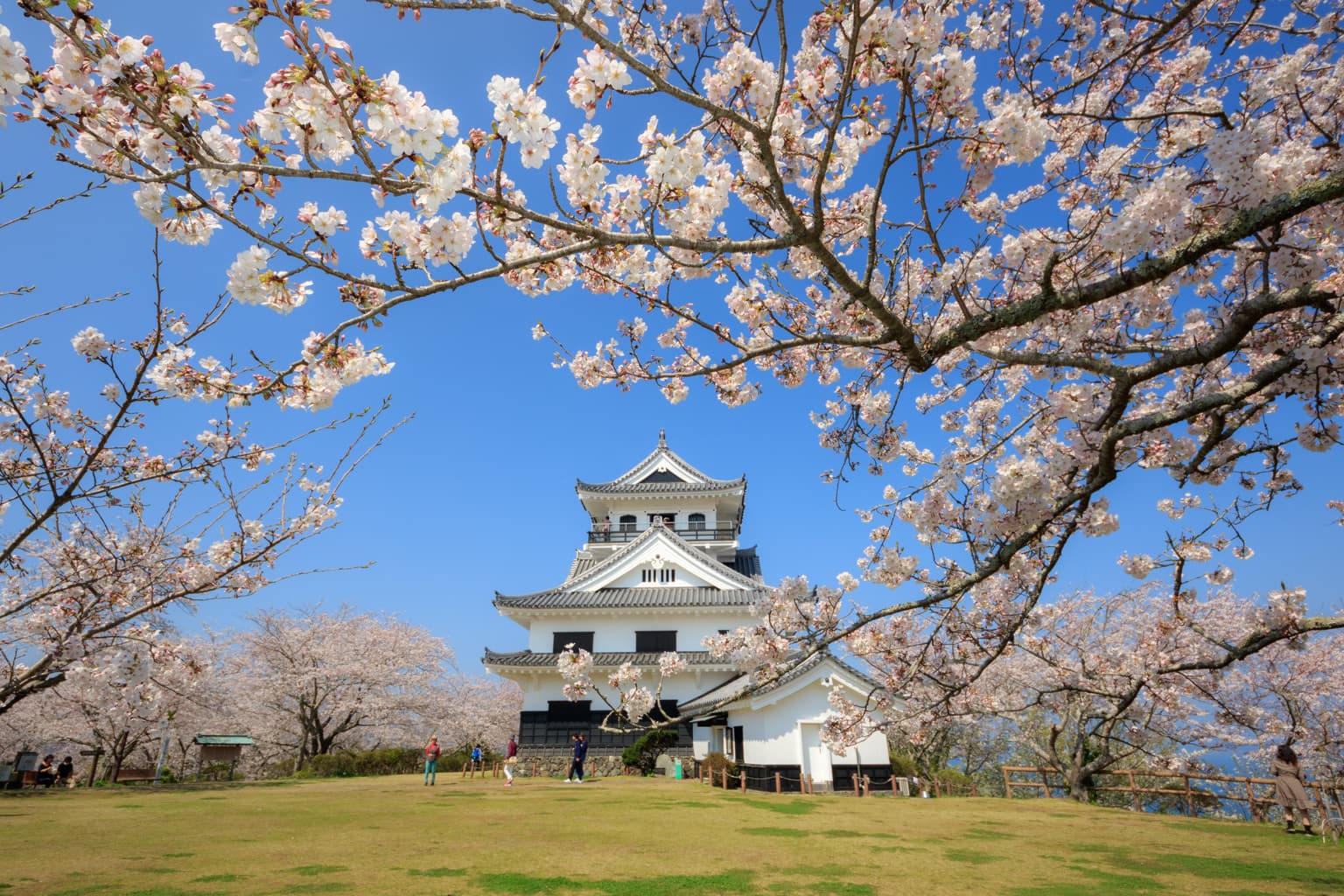 Tateyama Castle (Hachikenden Museum)
