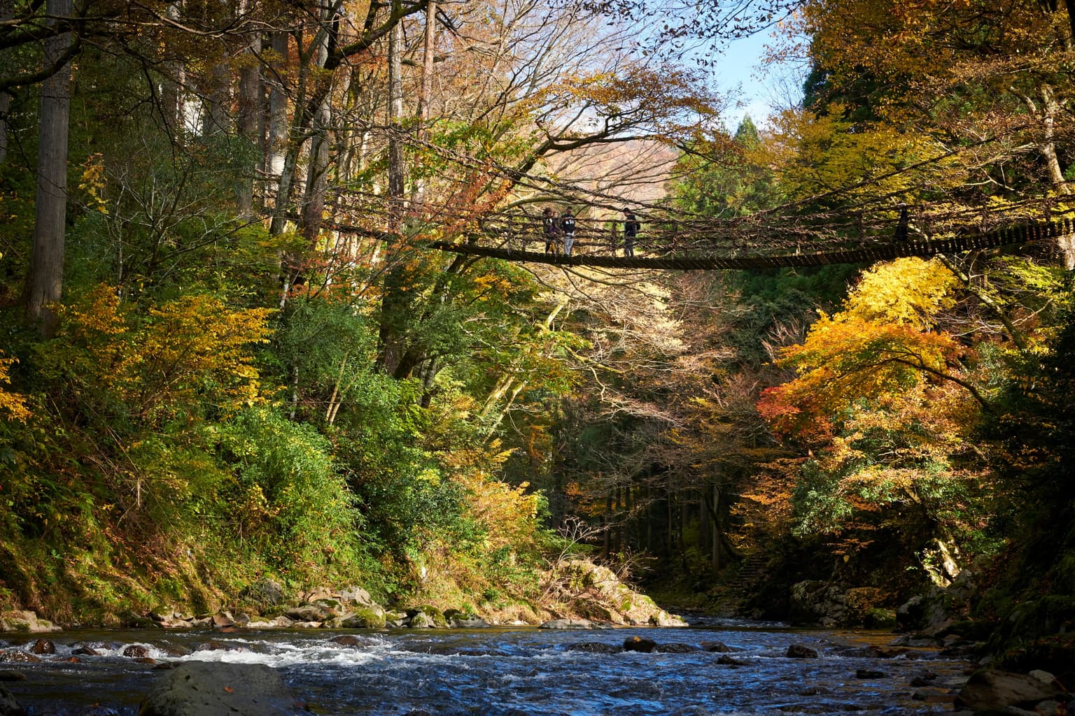 Kazura Bridge in Autumn