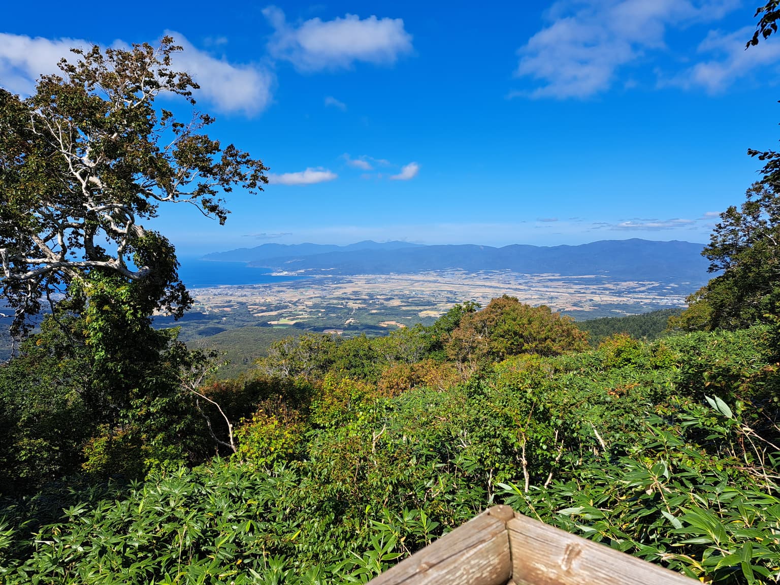 神仙沼自然休養林展望台