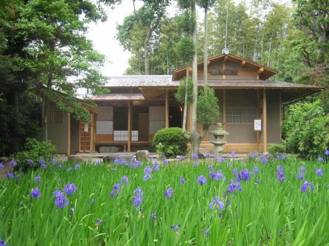 Kakitsubata and tea room