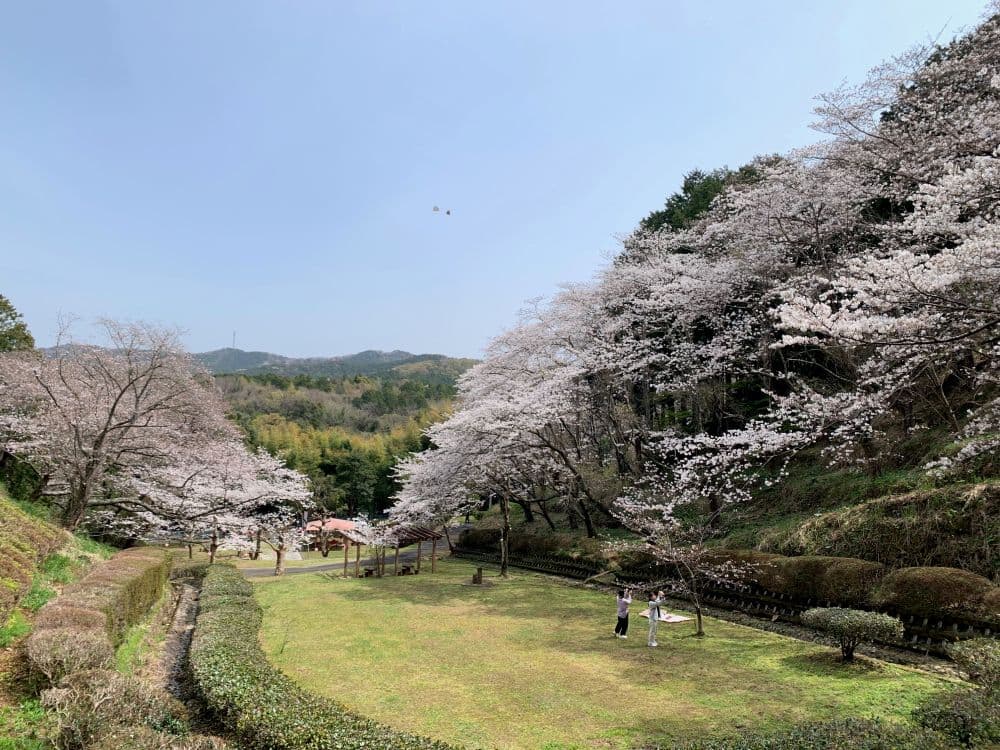 Minami Lek Omoriyama Park, Sakuraen