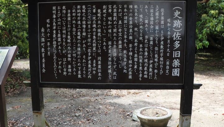 Former Sata Pharmaceutical Garden 3