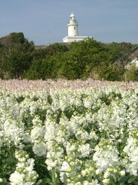 Susaki Lighthouse 2