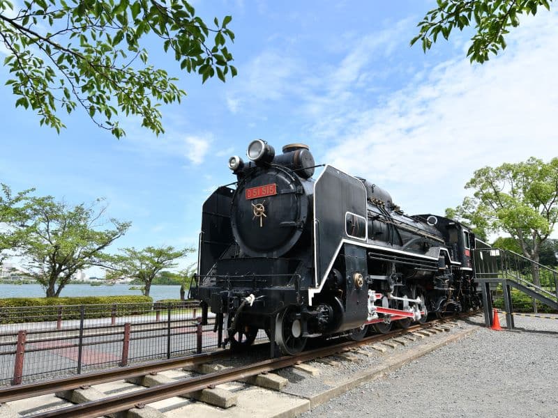 デゴフェス画像