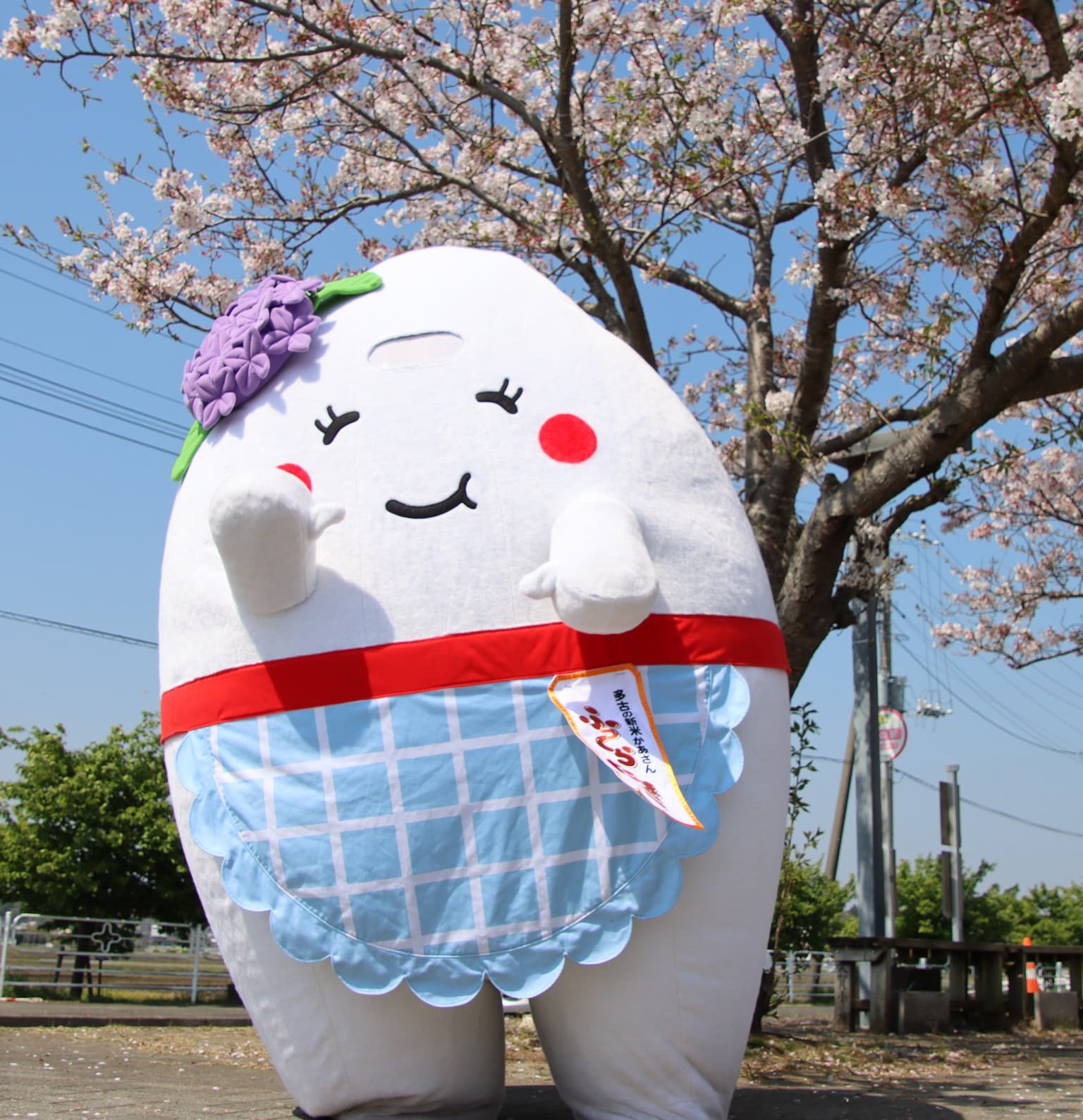 Tako-cho's loose character "Fully Tamako"
