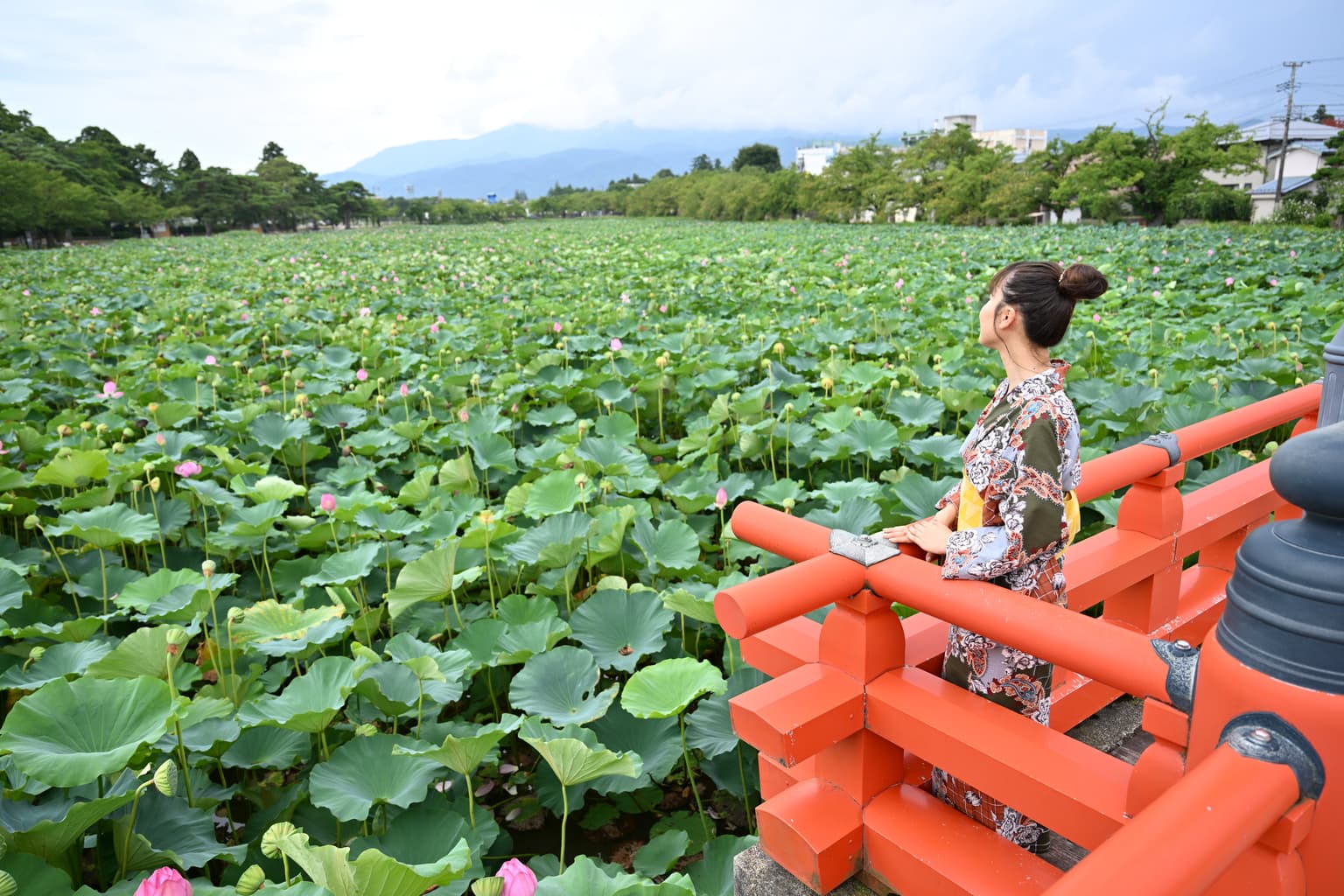 Wear a yukata and go to Kanrenkai