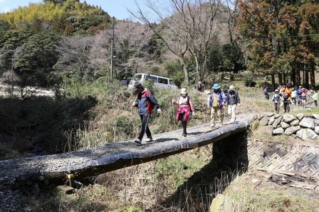 Handmade wooden bridge
