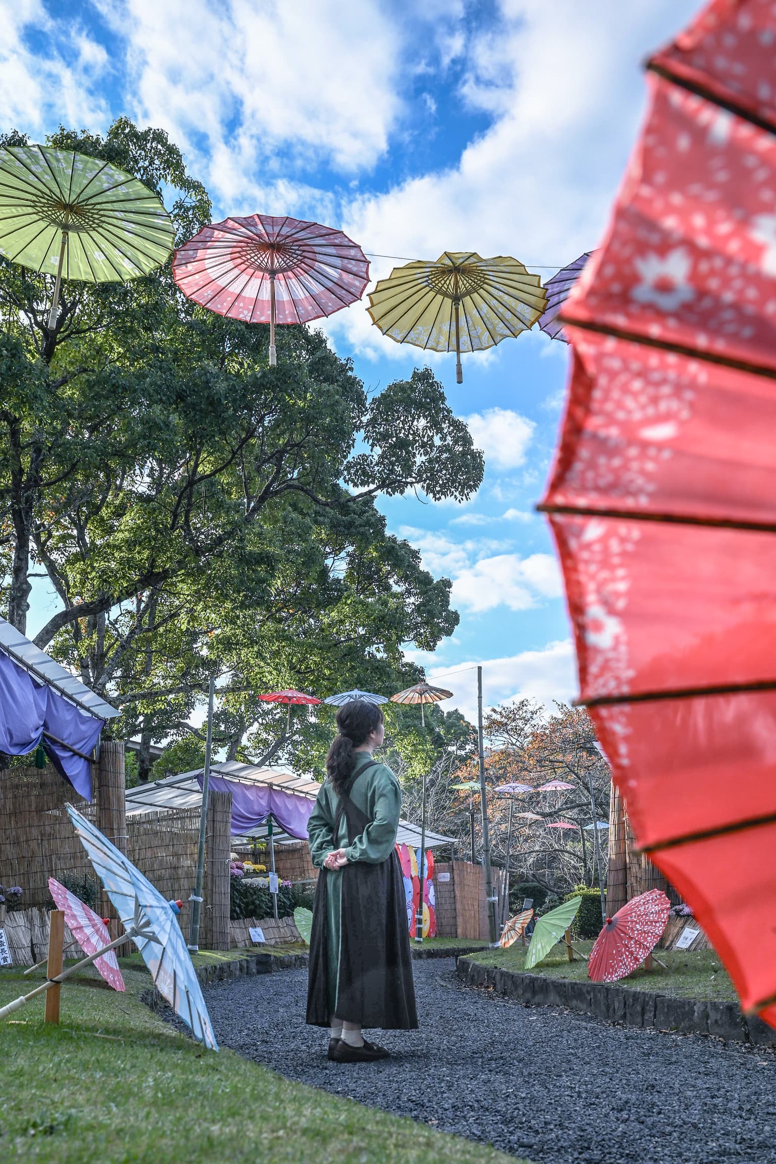和傘彩る菊花展