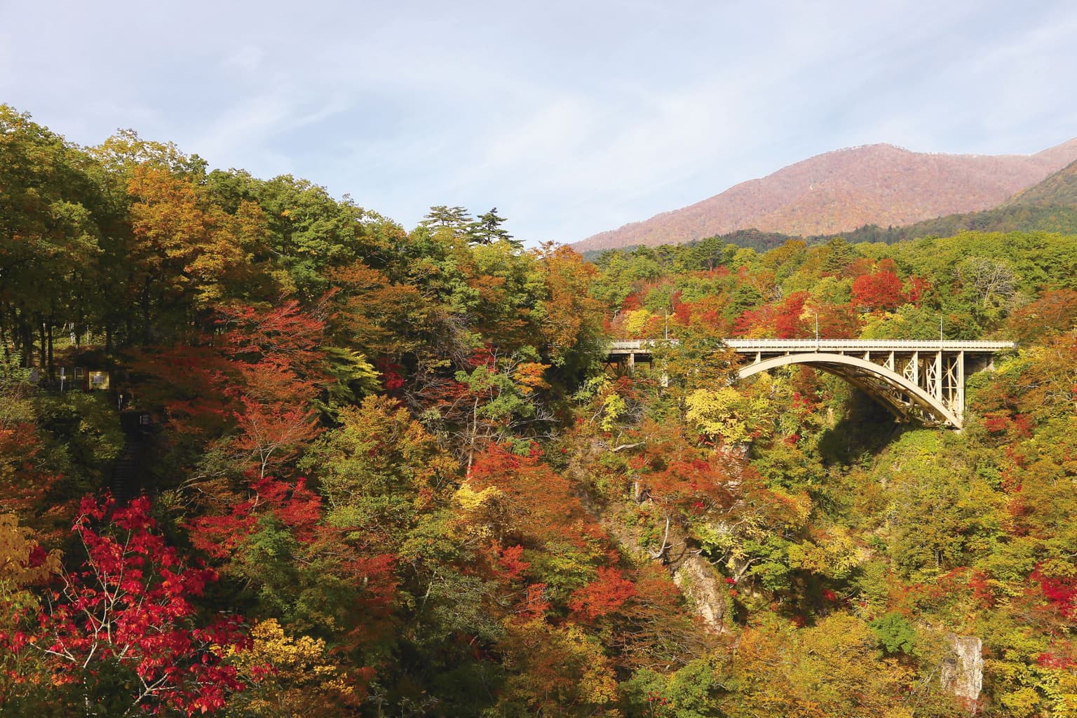 Autumn leaves in Narukokyo