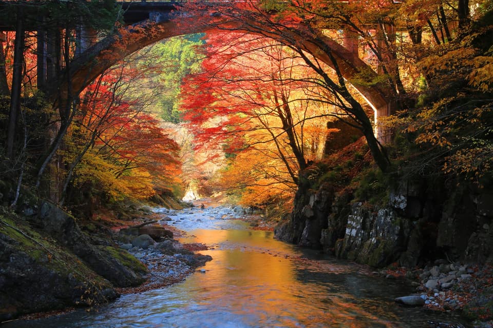 大芦渓谷の紅葉