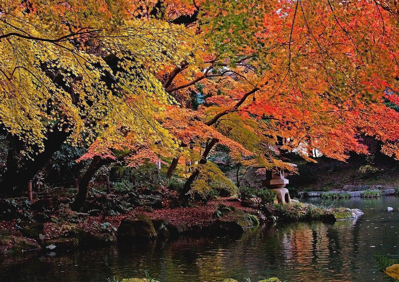 成田山公園の紅葉