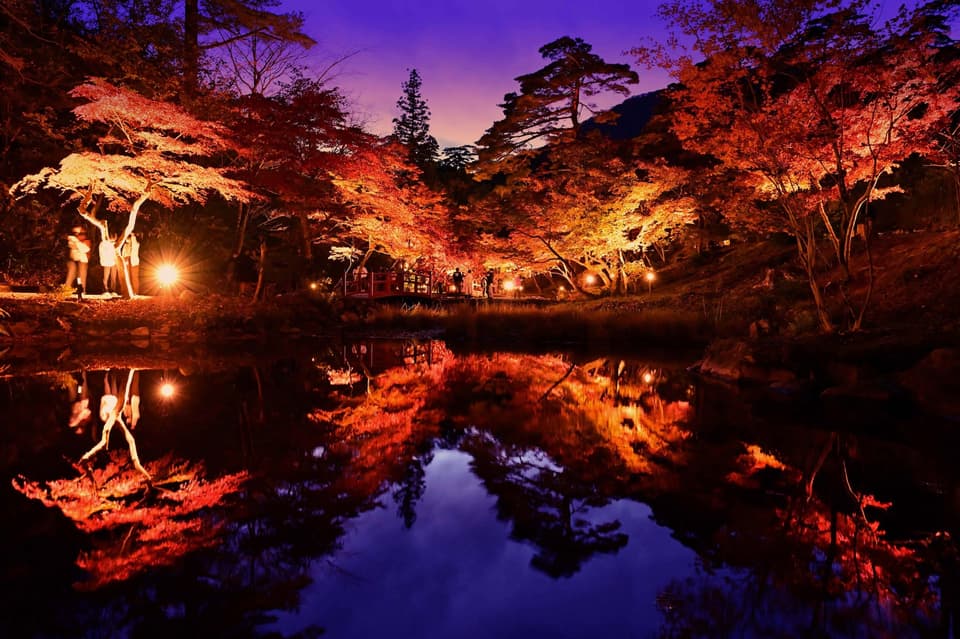 Autumn leaves in Yahiko Park