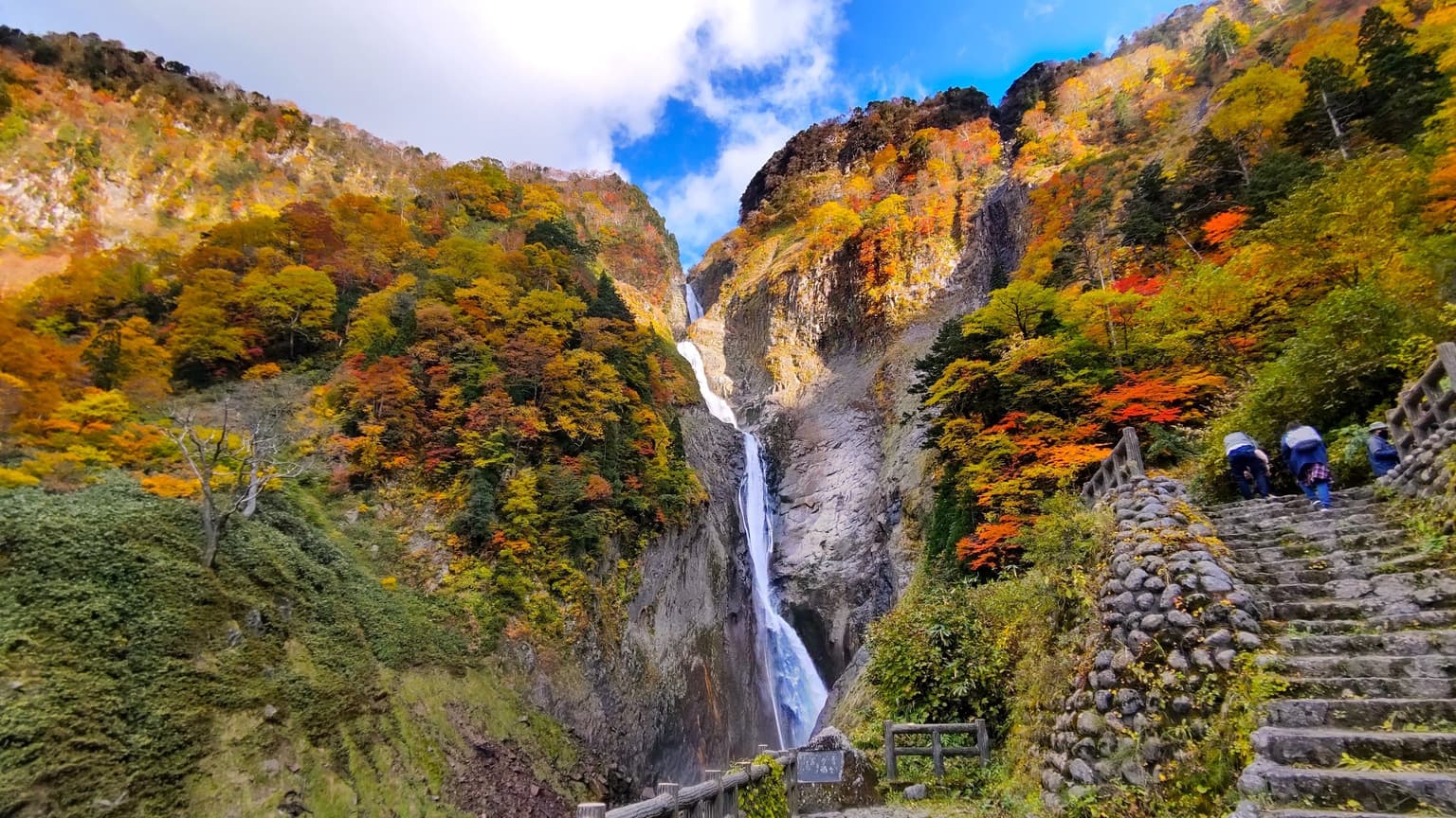 Autumn leaves in Tateyama (Shomyo-taki Falls: around 1,000 m above sea level)