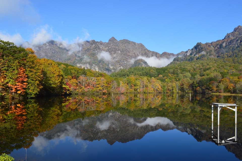 Autumn leaves in Togakushi Kogen