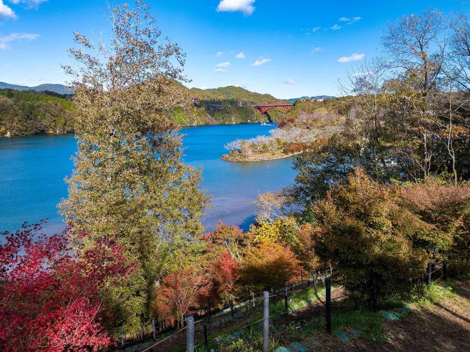Autumn leaves in Enakyo Prefectural Natural Park