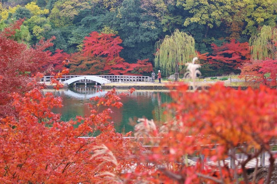 徳川園の紅葉