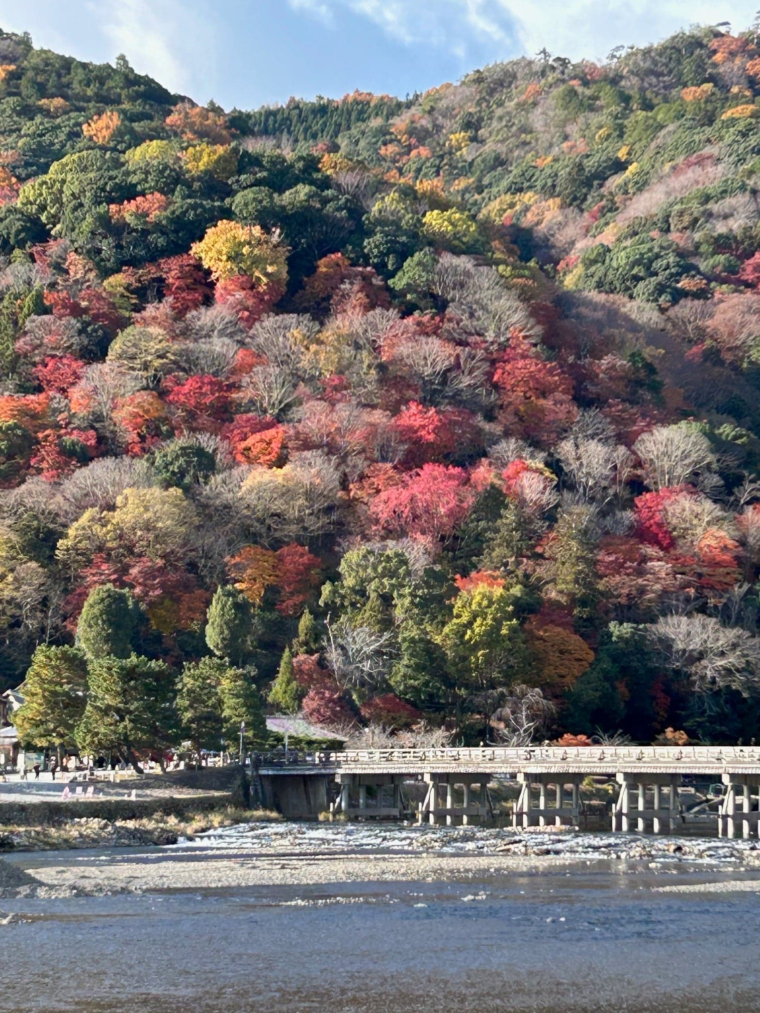 嵐山の紅葉