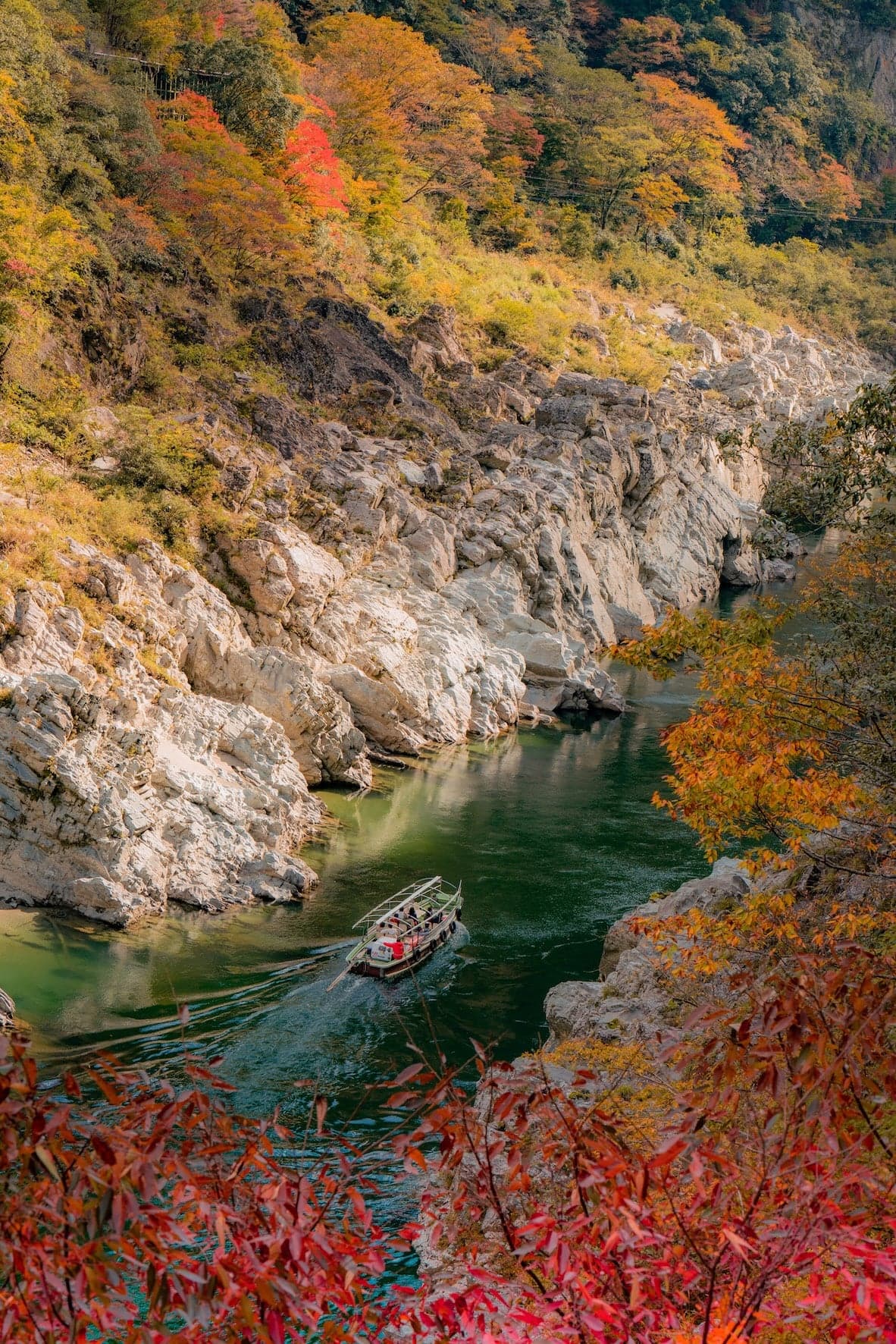 大歩危・小歩危の紅葉