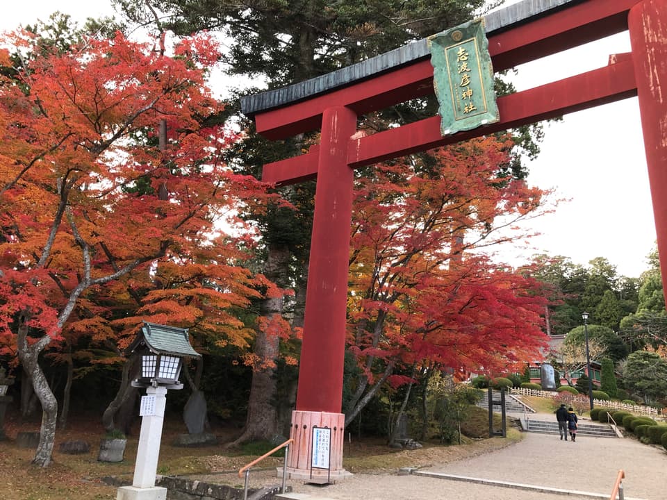 志波彦神社・鹽竈神社の紅葉