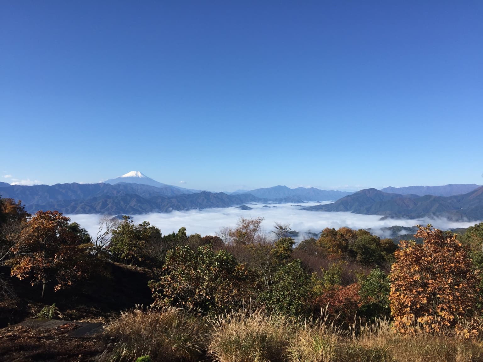 陣馬山の紅葉