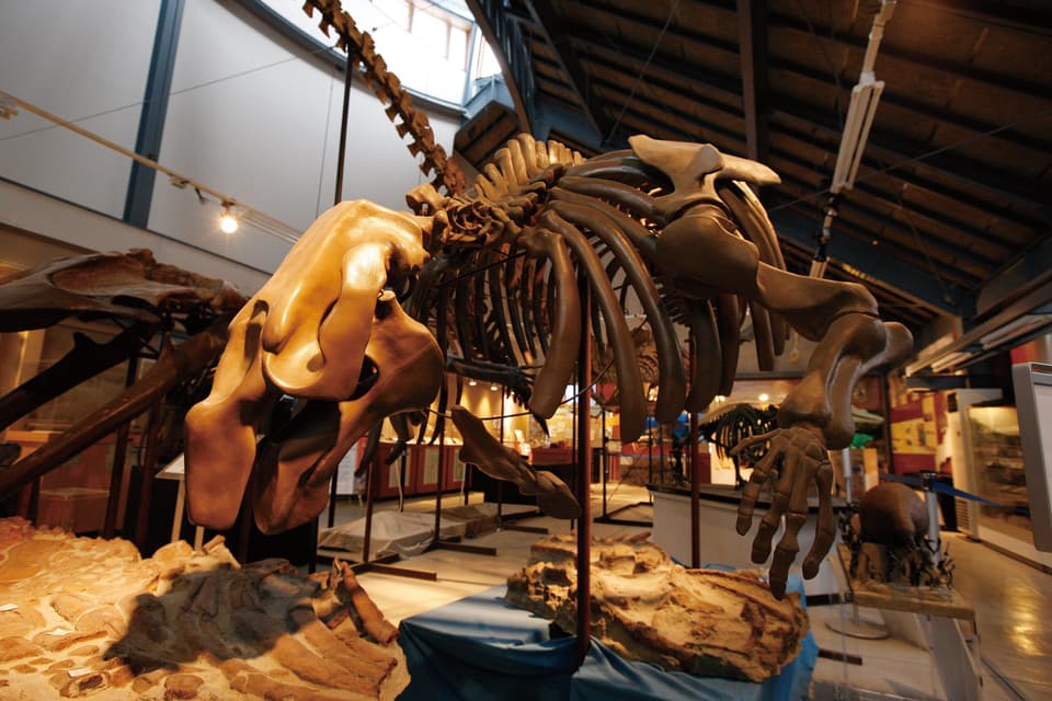 沼田町化石体験館