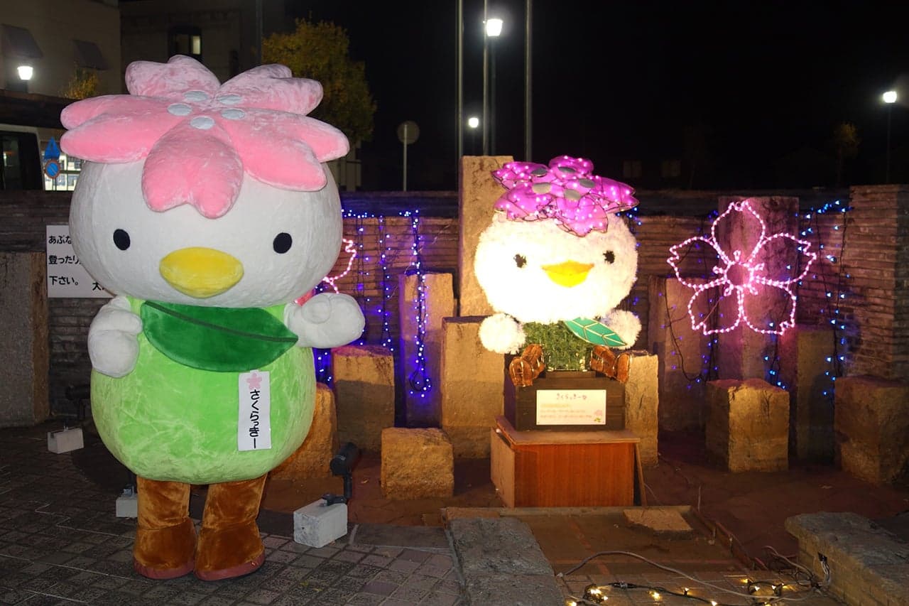 Obanari star ★ Okawara ☆