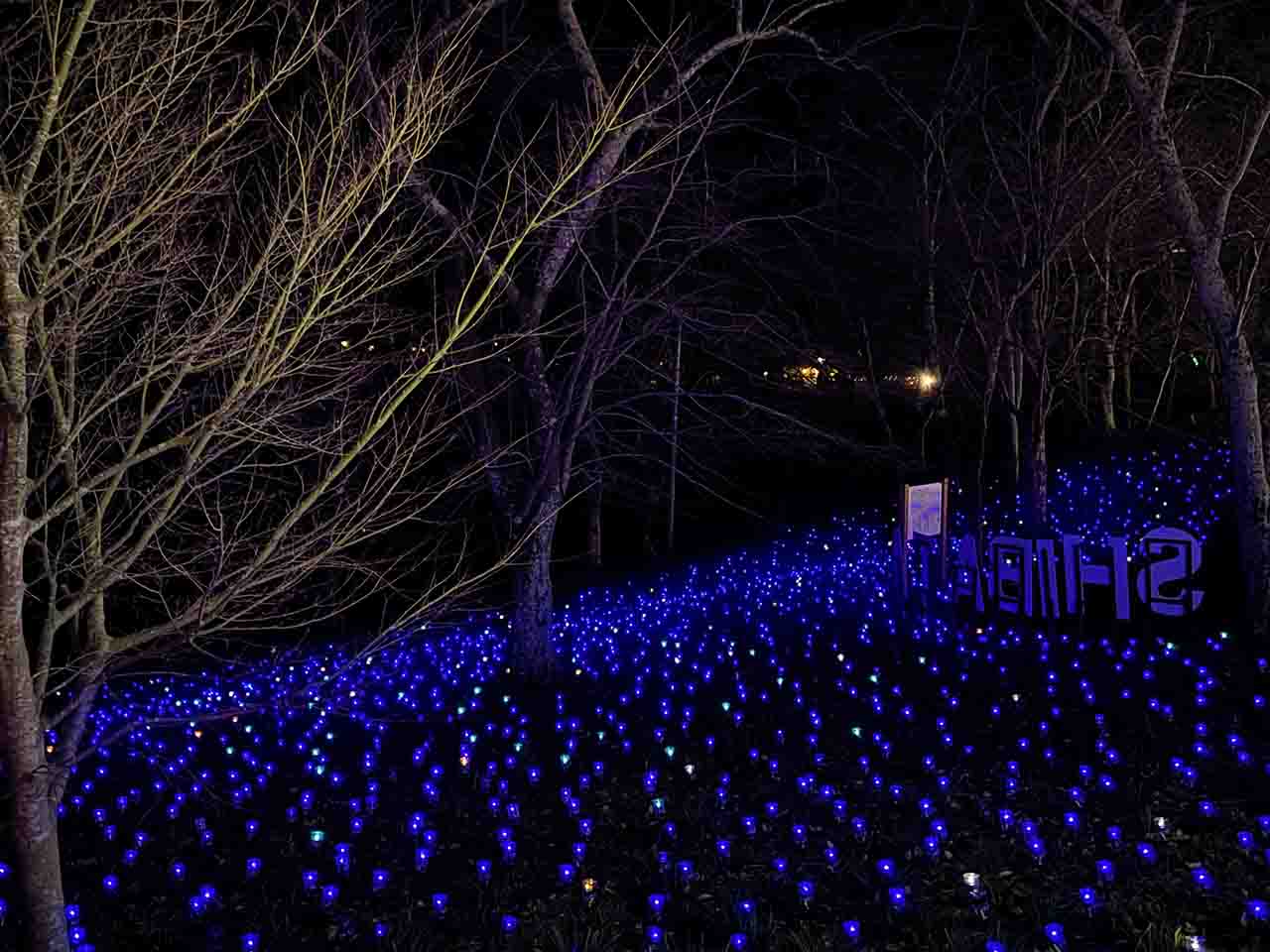 Shibata Fantasy Illumination 2023