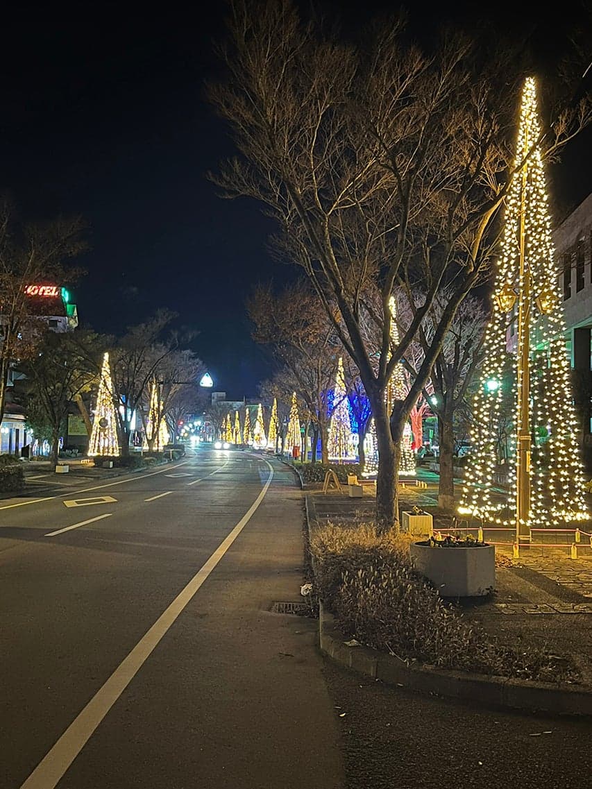 2024～未来につなぐ～陣屋通りイルミネーション